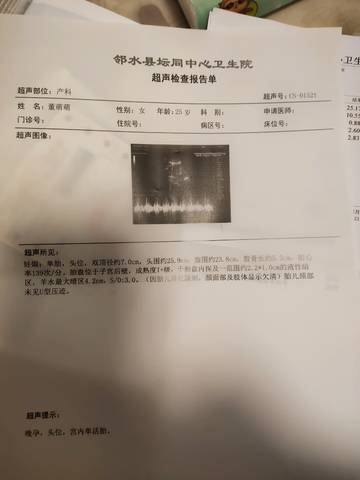 journal_insert_pic_1688849317