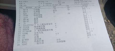 journal_insert_pic_1688841095