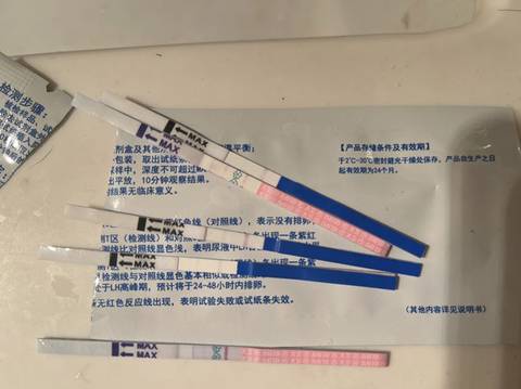 journal_insert_pic_1683210807