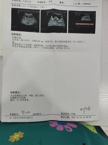 journal_insert_pic_1679862789