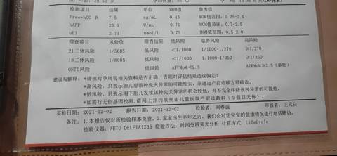 journal_insert_pic_1676849928