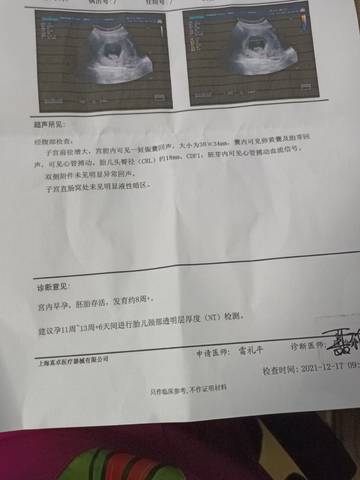 journal_insert_pic_1681348029