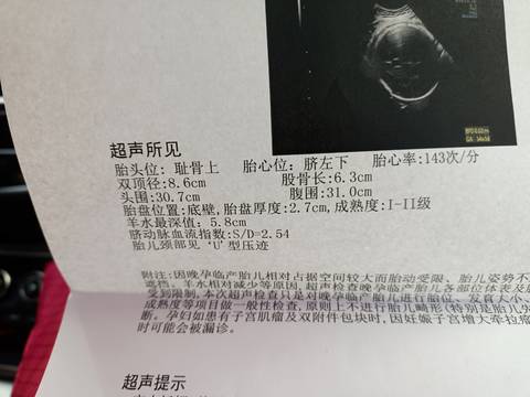 journal_insert_pic_1679243917