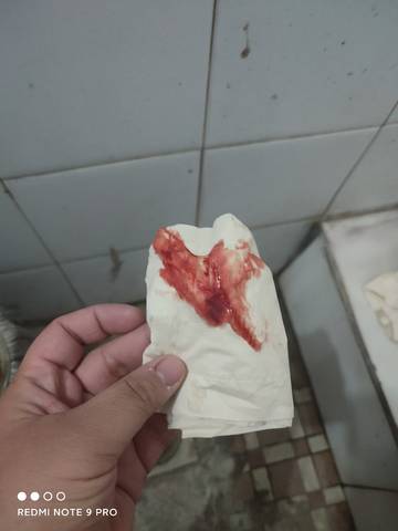 journal_insert_pic_1673061486