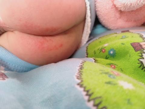 journal_insert_pic_1674060420