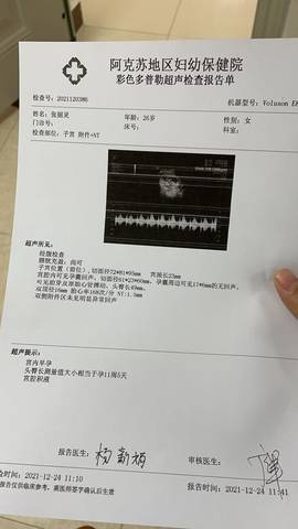 journal_insert_pic_1685267712