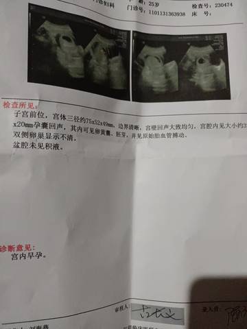 journal_insert_pic_1677487220