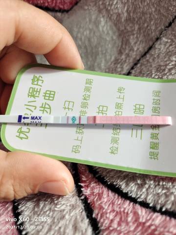 journal_insert_pic_1682912804