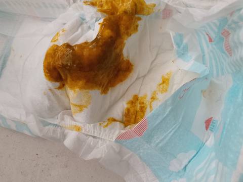 journal_insert_pic_1674974320