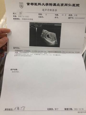 journal_insert_pic_1685263277
