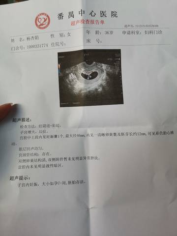 journal_insert_pic_1678496681