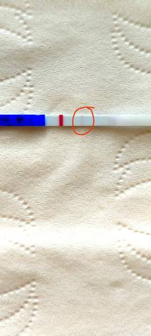 journal_insert_pic_1683970248