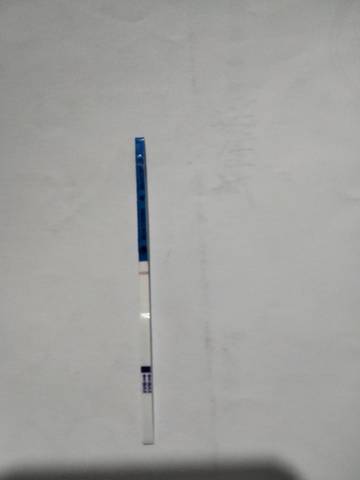 journal_insert_pic_1687311200