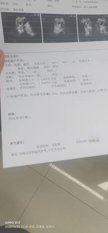 journal_insert_pic_1740993110