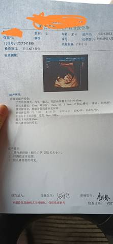 journal_insert_pic_1685960091