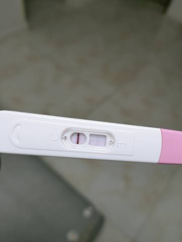 journal_insert_pic_1719738024