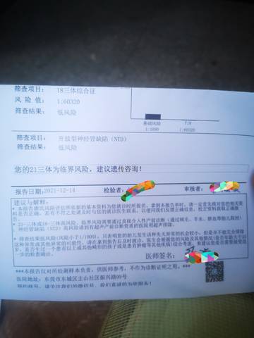 journal_insert_pic_1683604612