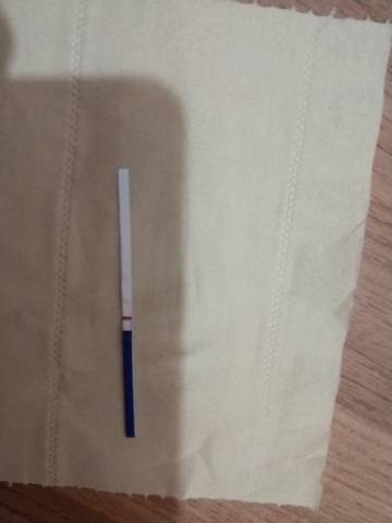 journal_insert_pic_1675657811