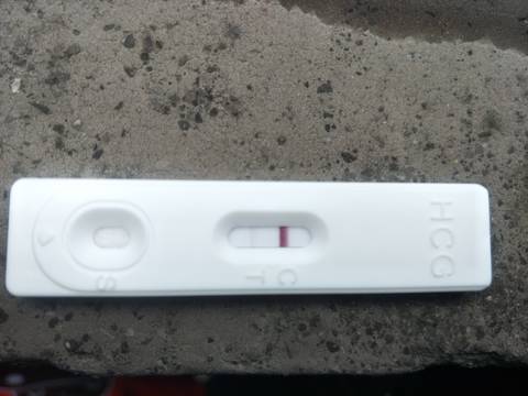 journal_insert_pic_1688874628