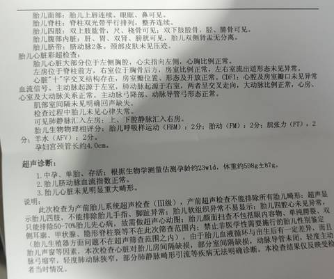 journal_insert_pic_1688573168