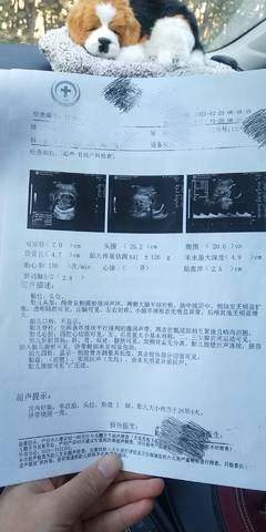 journal_insert_pic_1688729534