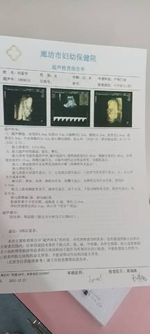 journal_insert_pic_1685439301