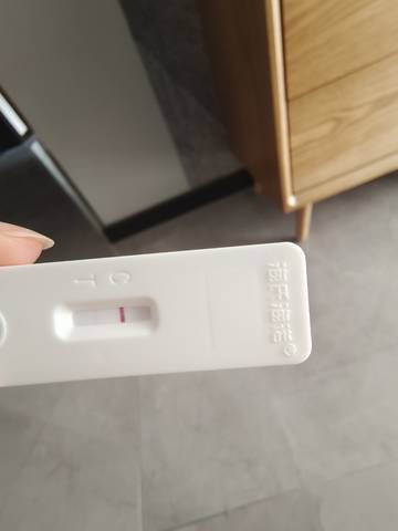 journal_insert_pic_1685880991