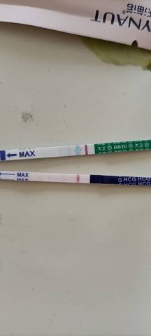 journal_insert_pic_1688845408