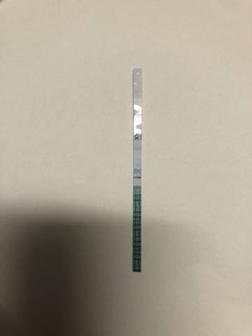 journal_insert_pic_1675953876