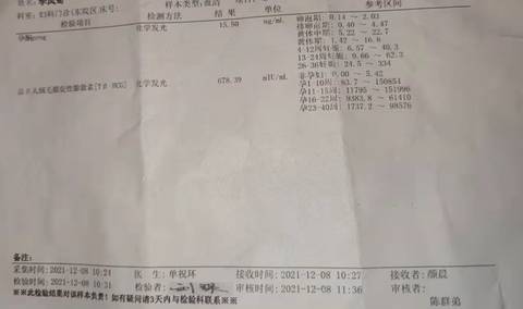 journal_insert_pic_1679402263