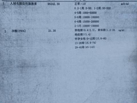 journal_insert_pic_1675676782