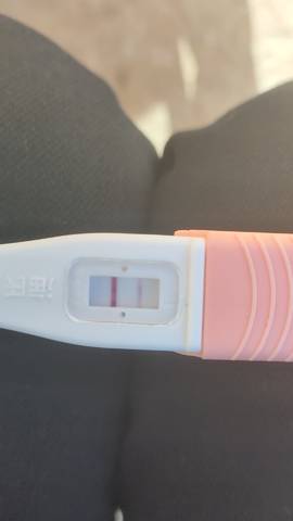 journal_insert_pic_1719799790