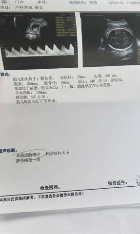 journal_insert_pic_1688840270