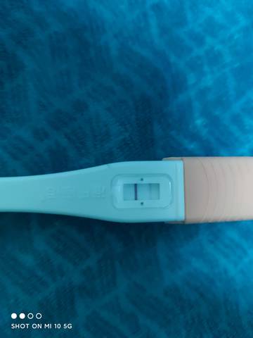 journal_insert_pic_1719599482