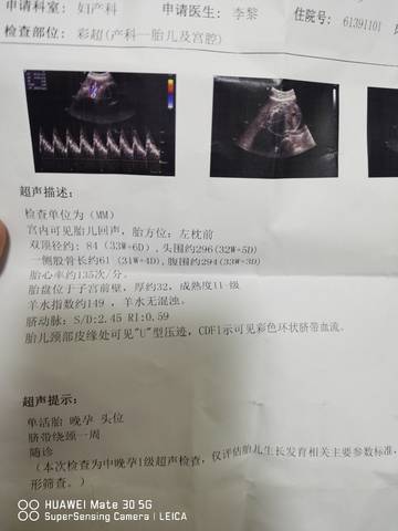 journal_insert_pic_1740922587