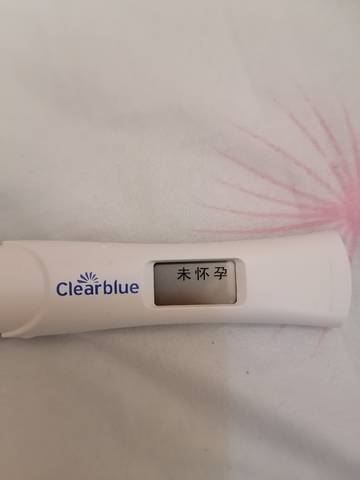 journal_insert_pic_1719657970