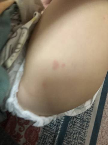 journal_insert_pic_1679994816