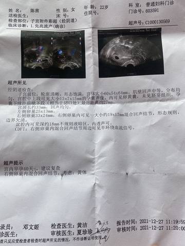journal_insert_pic_1689459216