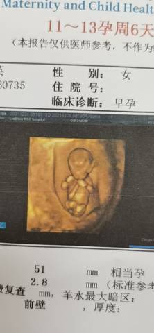 journal_insert_pic_1687350411