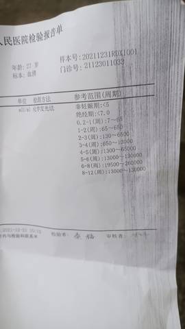 journal_insert_pic_1689640212