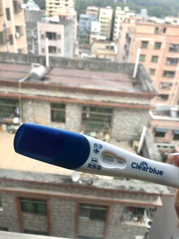 journal_insert_pic_1681882910