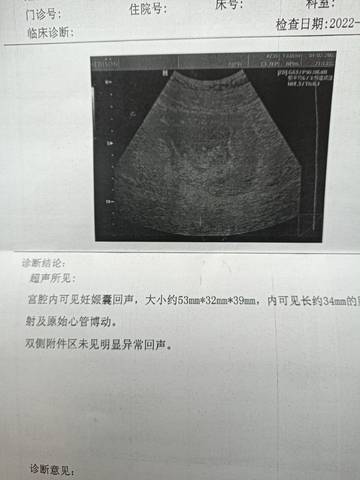 journal_insert_pic_1690584379