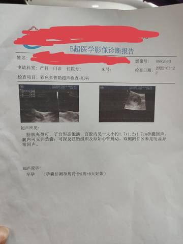 journal_insert_pic_1740891162