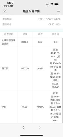 journal_insert_pic_1685410153