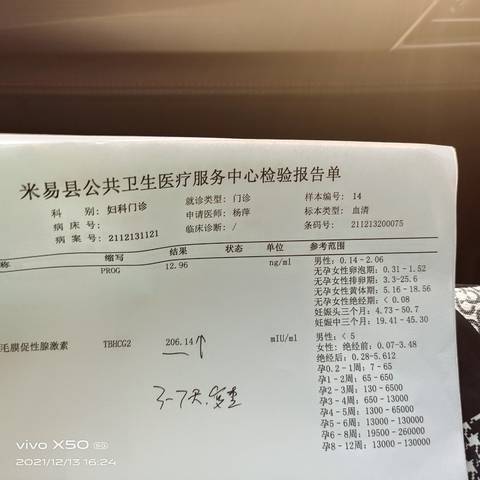 journal_insert_pic_1679824697
