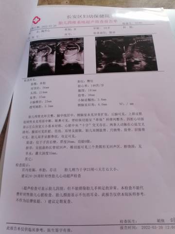 journal_insert_pic_1740966672