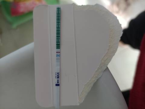 journal_insert_pic_1673527249