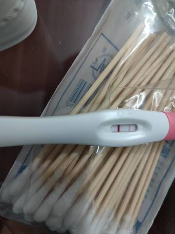 journal_insert_pic_1681258698