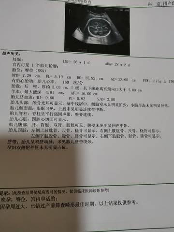 journal_insert_pic_1688517322