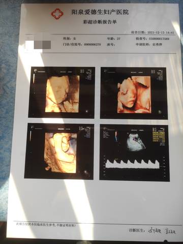 journal_insert_pic_1684424364